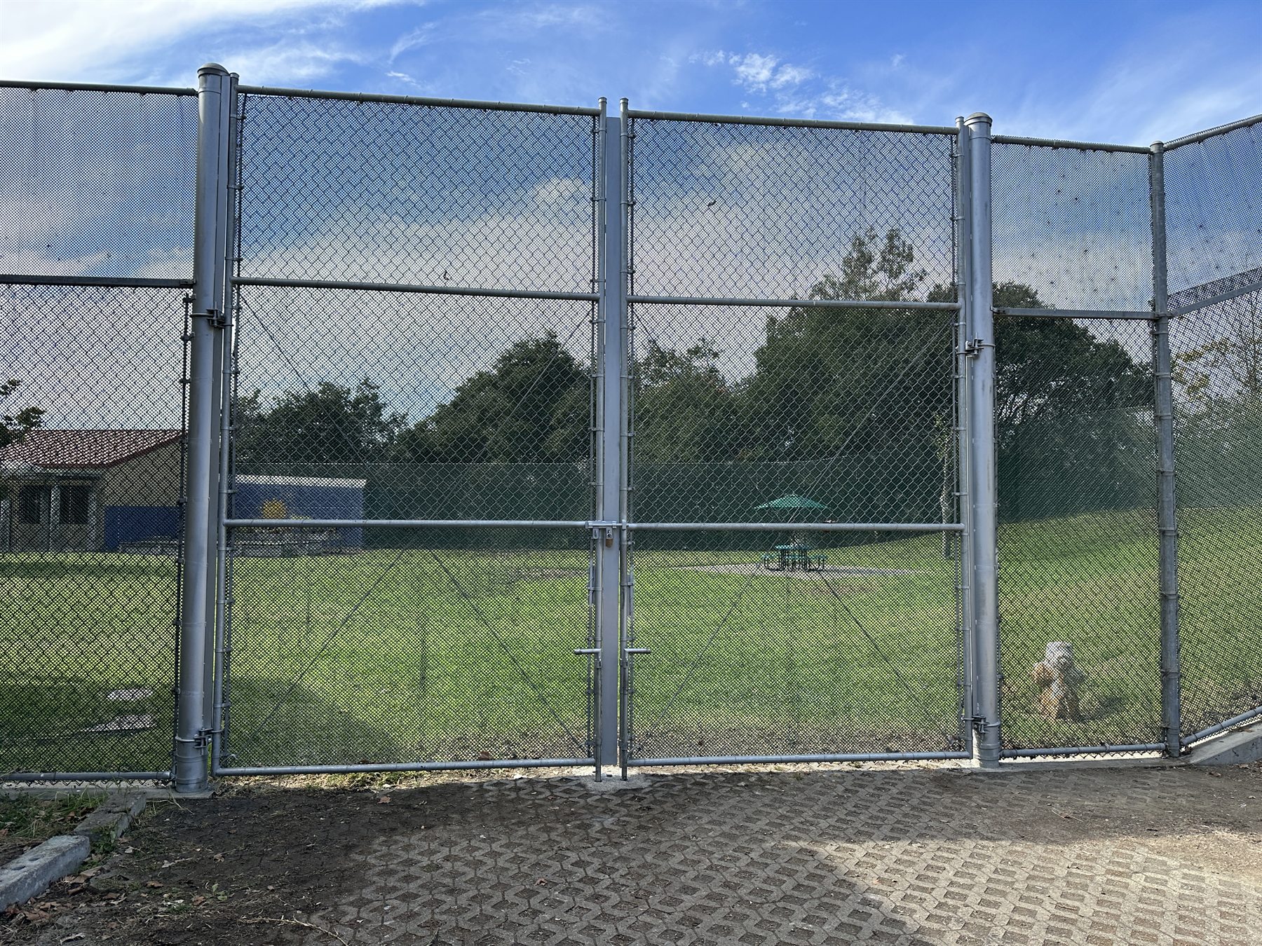 Athletic chain link gate and fence system